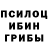 Галлюциногенные грибы Psilocybe vaneska A