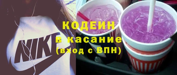 амф Бородино