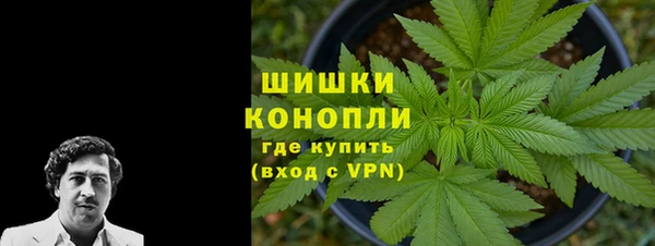 амф Бородино