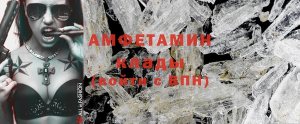 амф Бородино