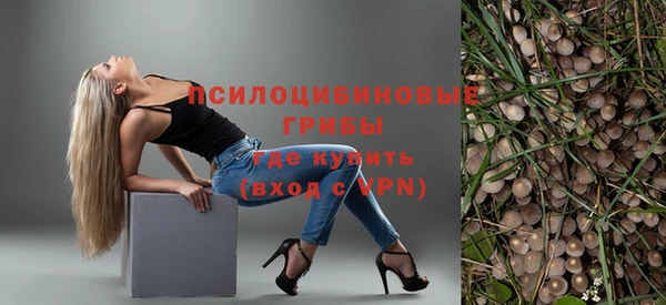амф Бородино