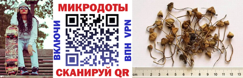 Псилоцибиновые грибы Cubensis  Новоуральск 